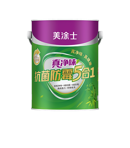 真净味竹炭抗醛抗菌五合一墙面漆
